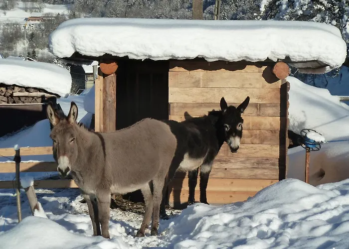 Le Bois Des Louison Pensionat 3*
