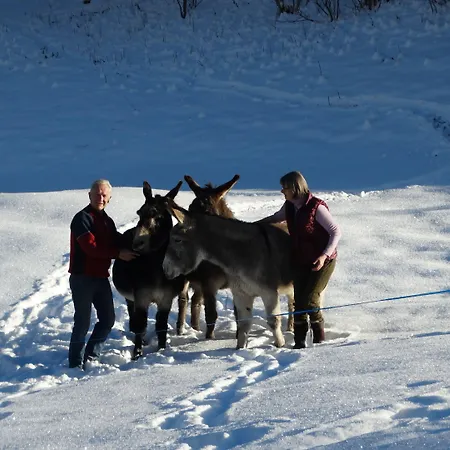 Le Bois Des Louison 3* Seytroux